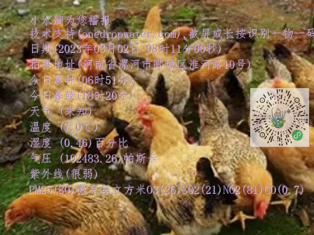 0.mp4