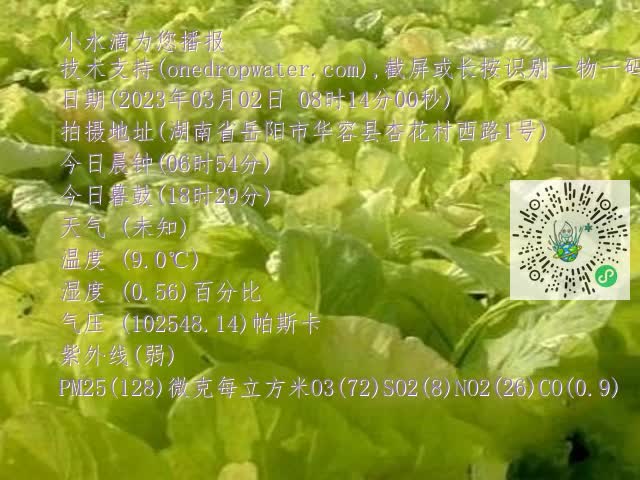 0.mp4