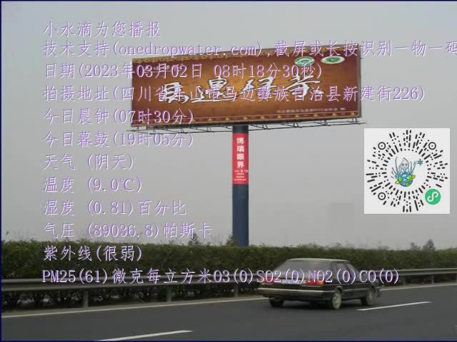 0.mp4