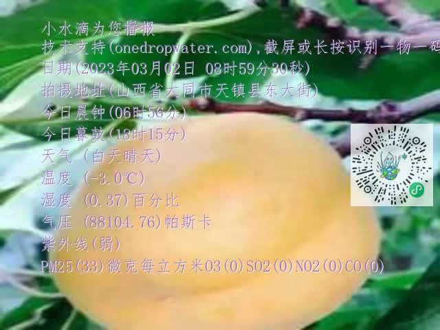 0.mp4