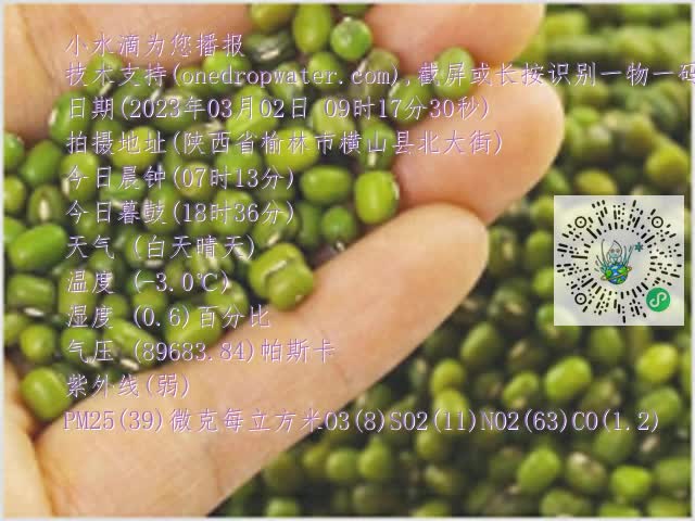 0.mp4