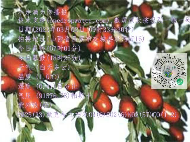 0.mp4