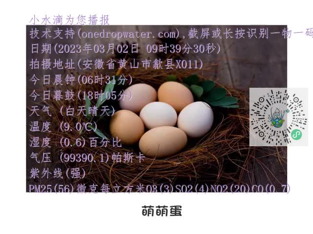 132b7dc3e65df8fe6cae9da93c0655d9.mp4