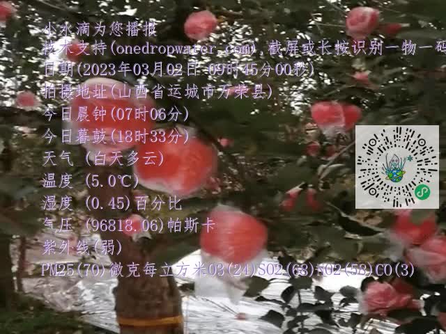 8cfd960e6b4a910dbb1d0699c1b1652b.mp4