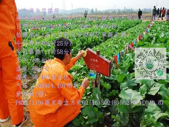 d8371e468d16f8fe9de975fec632d923.mp4