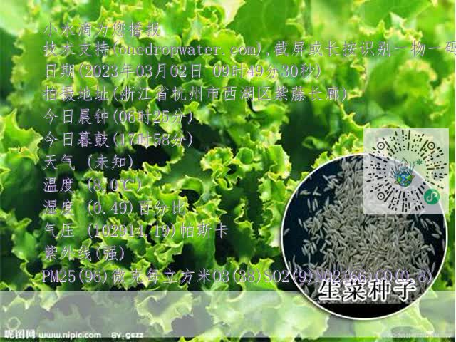 8bf87a48d095cf7944be3ea9e09ea14d.mp4