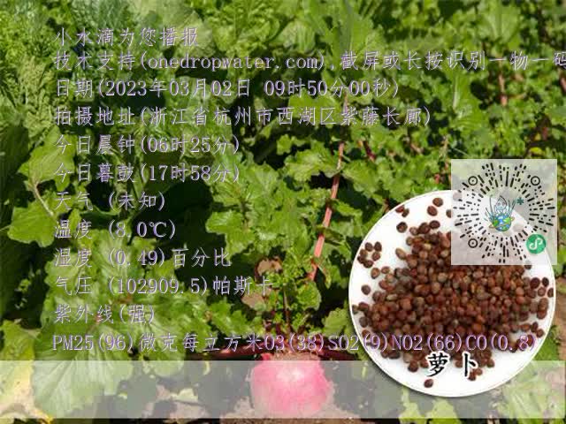 a4b4252d932f7ca1b7a5cee6b1a7bc19.mp4