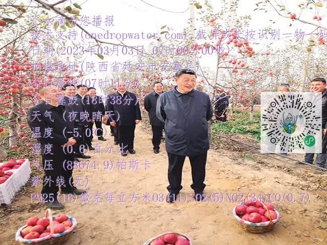 758b70c3eac15ff58c4c07b89c5cc943.mp4