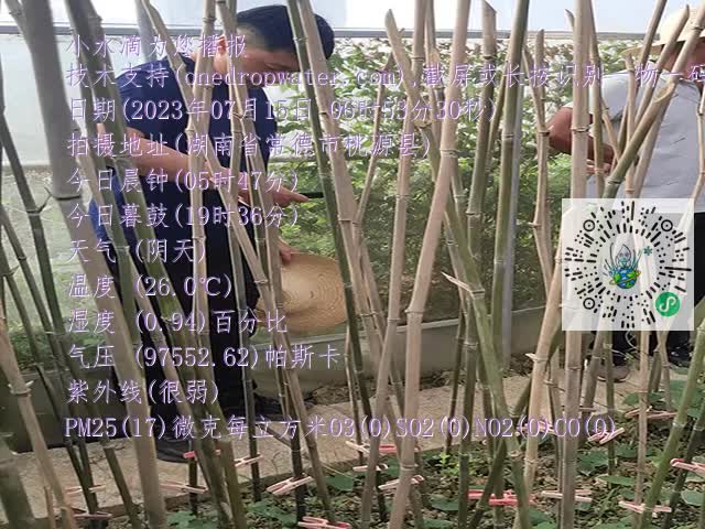 1ca5315187c7915aedcb62a0d18b756b.mp4