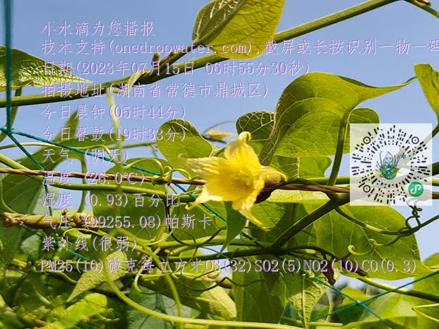 29128572bab94c99e71917476ab9e947.mp4