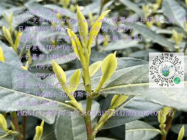 257bcb7bd346e0ee66da2cb6e60e67cc.mp4