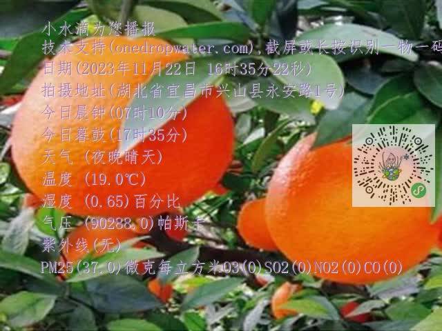 be6d6a0cd548b518276e5b2463864dbc.mp4