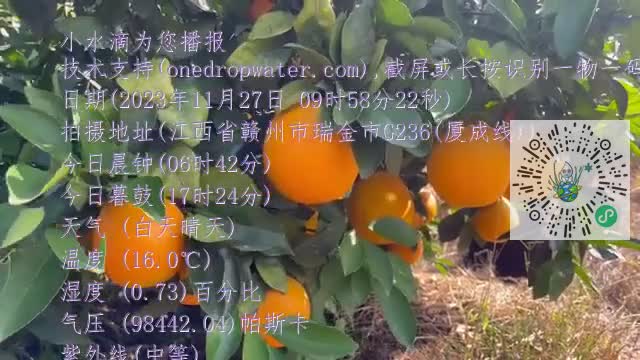 FsEM6ZVmJ2LdkCXvP3jKPFuFX2Z5mp4