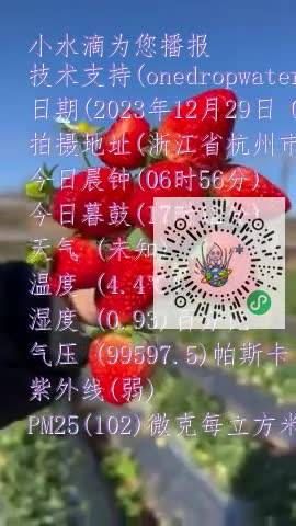 FrtXy5XIlG-9il9MrQwn_q-opzL_mp4