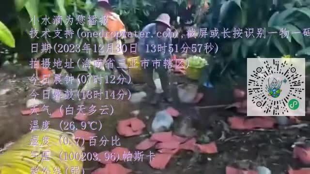 FohZPlpxK6LO8IVHkd3XU8bjMdy2mp4