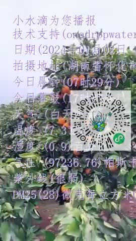 FkIVEow5cxdKJRX8ggW6-bhotaMxmp4