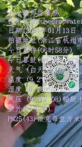 FmemFo8s9iL_fe2mlHqv2twyYMw4mp4