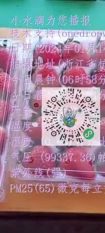 FhMqxfX96hUi1Ez5dGaL4WdX9r5Dmp4