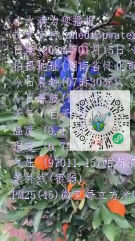 Fm5Y8K6TANbrgu-jgZ-FCjVNexItmp4