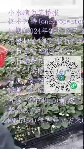 Fnh9pVW42thwZYRNalv4pylxevHUmp4
