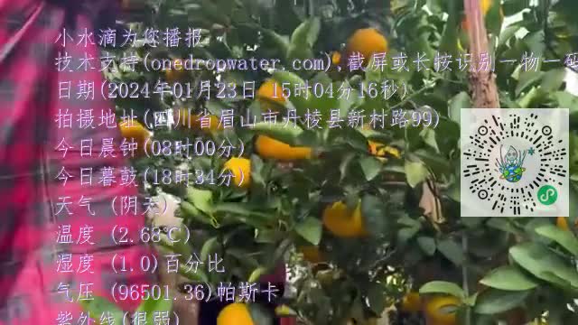 FhkKlCkgrWS6QbCOQoYHUW-n84aEmp4