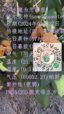 FuS7OxHu9GVBnlNWhuot6N43VEu_mp4