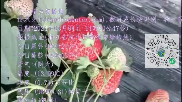 FtC_O_X-gAOJOOp8-aiyCJwPYPxTmp4