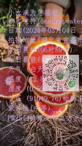 Fiq24bMClVN5hYBoi9CvwMbvNu2gmp4