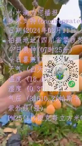 Fp4c5quFPGePBjxx2D2i_gVPj91mmp4
