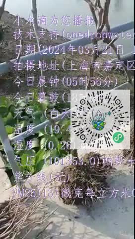 Fu1OxsB7o0uuAjZJTuzrBg5KFljcmp4
