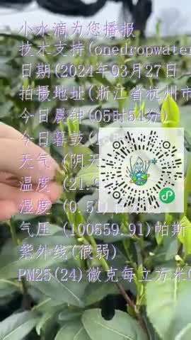 FqedBeO3884-0TZp3I6YKabqAxDkmp4