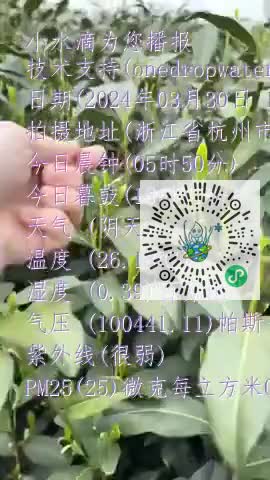 Fi_K9cDfQxBf0cQFOKNxo9pe7MORmp4