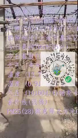 ltCuSsmck1euXHO2lhYuw1D9rAmgmp4