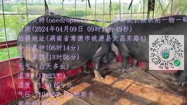 FiqQGVfyoeI87kqJerSBNgpHuQe5mp4