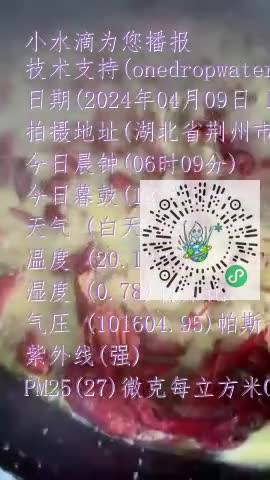 lo8a1WlDoOO5F2wSnUNtjQk1c-Ucmp4