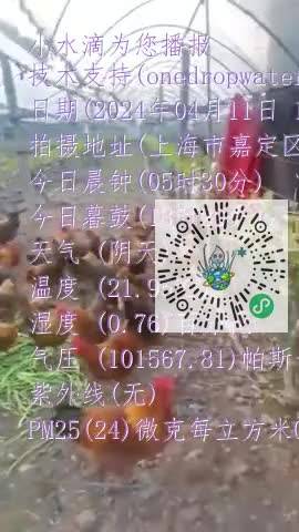 FsNKDLuKYDIycJj1sOM4bi6Eh9pqmp4