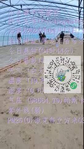 lo8RVDVDCalUhE5j1spTdEQ81R-Tmp4