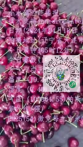 Fms0oETRhYVCKh71z6yTmYePZT7pmp4