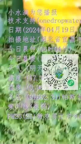 Fvs-mCfk1vfGQy4Ph_BBu6BTrp20mp4