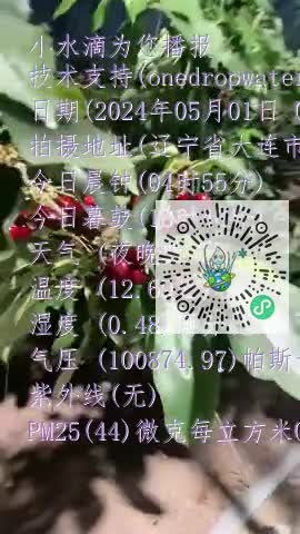 Frlt_MgOxBD9FimeI6WEMCgOc_M8mp4