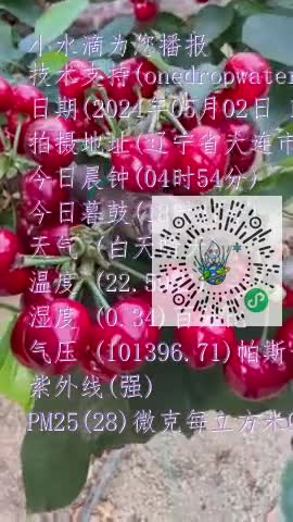 FhHQ3RLkc9TfB9of9afKU2VWO2S-mp4