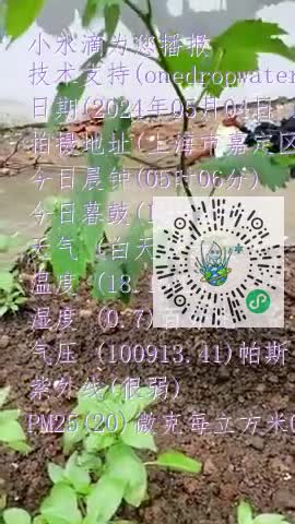 lj2iVquhHfNY9rRG6IZXiNCAPbaemp4