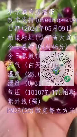 FvDNuWWDpR1o4f52AHaIVSUp8UXCmp4