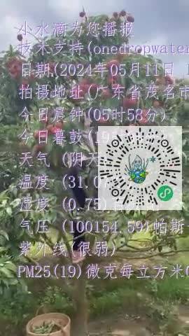 Fhk6su_M8D-UXceWDB8qjuWpCrjzmp4