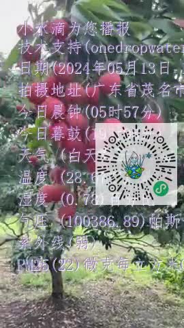 Fmh6DQlZMIwvw-FhMBIPKfdBvdhjmp4