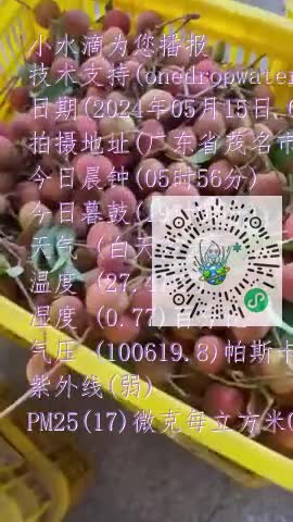 Ft_9m8uHOfXih6JvDEXVp6H_nfVFmp4