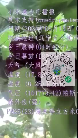 FotKHlKllShD_YMSUlx5DTbrE9K0mp4