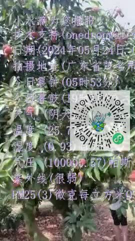 FjnF8aohpsXcuoRiZhDX9bj4yTL-mp4