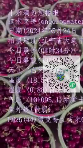 FrAkzR0AWvbwn6vl2Ku6P_szTKu8mp4