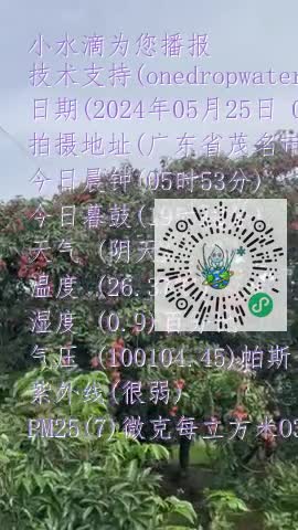 FvXOIu0Q0S-fHQFGFJPOictH0nofmp4